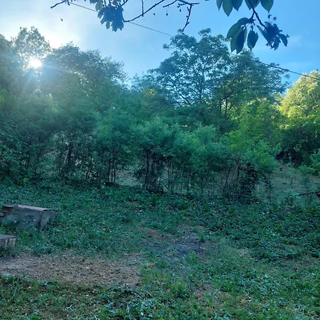 Casa de Férias Vikendica Popovica Viki Sremska Kamenica