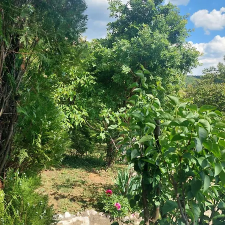 Vikendica Popovica Viki Sremska Kamenica