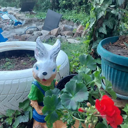 Vikendica Popovica Viki *