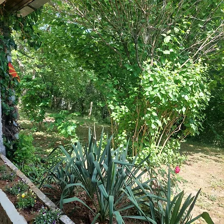 Vikendica Popovica Viki Casa de Férias