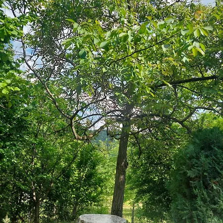 Casa de Férias Vikendica Popovica Viki